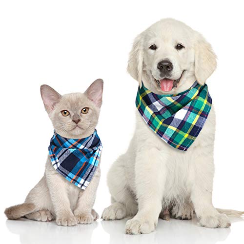 Look Honoson pour petits et moyens chiens et chats, style élégant.
