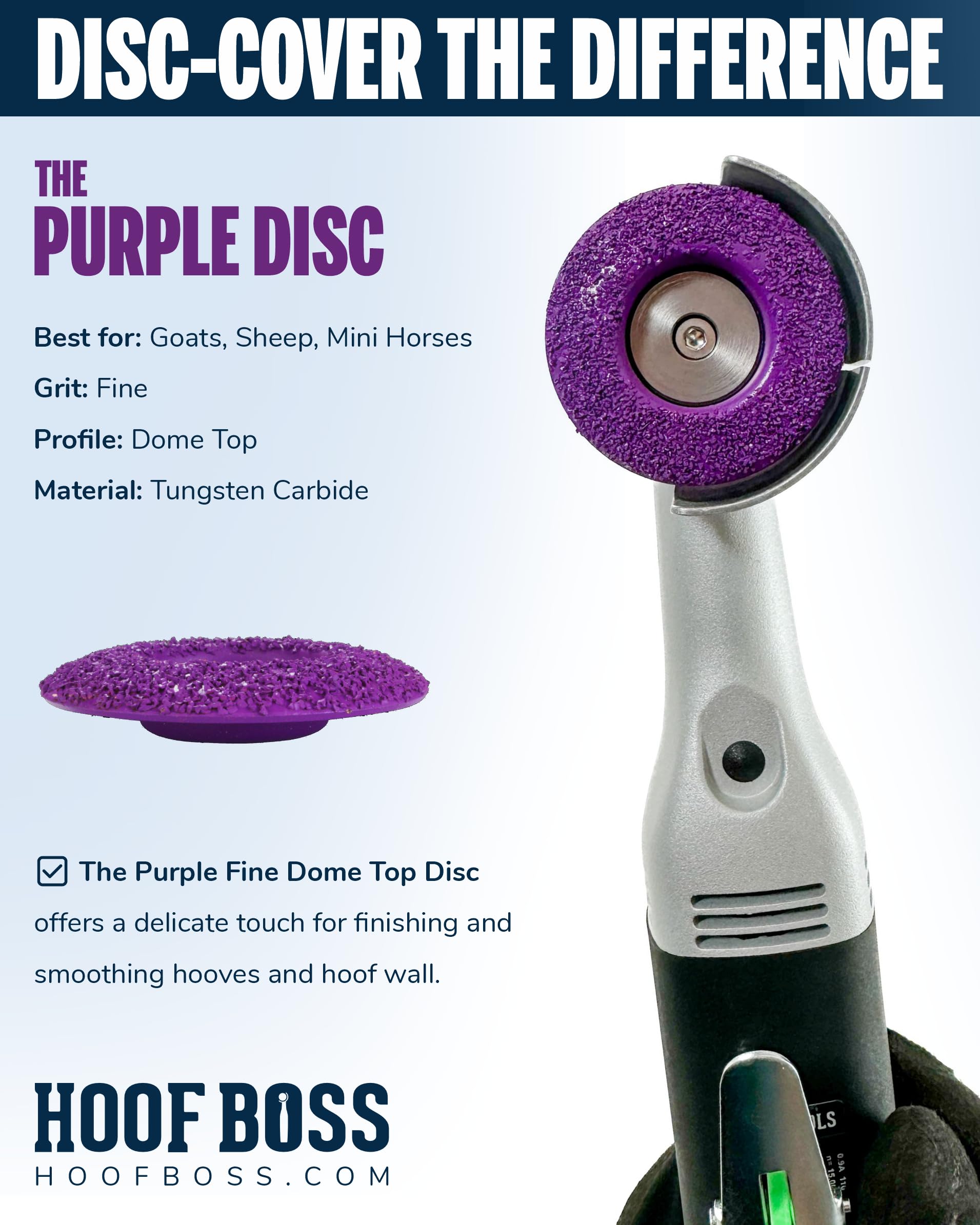 Disque Hoof Boss Dome violet arrondi, précision sur le sabot