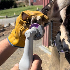 Disque Hoof Boss Dome violet fin grain, finition douce après le trim