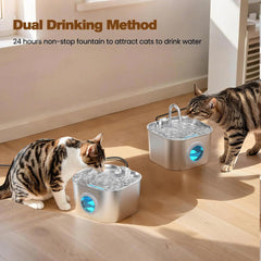 HOOISE Fontaine pour chat avec eau courante 24h et pompe silencieuse