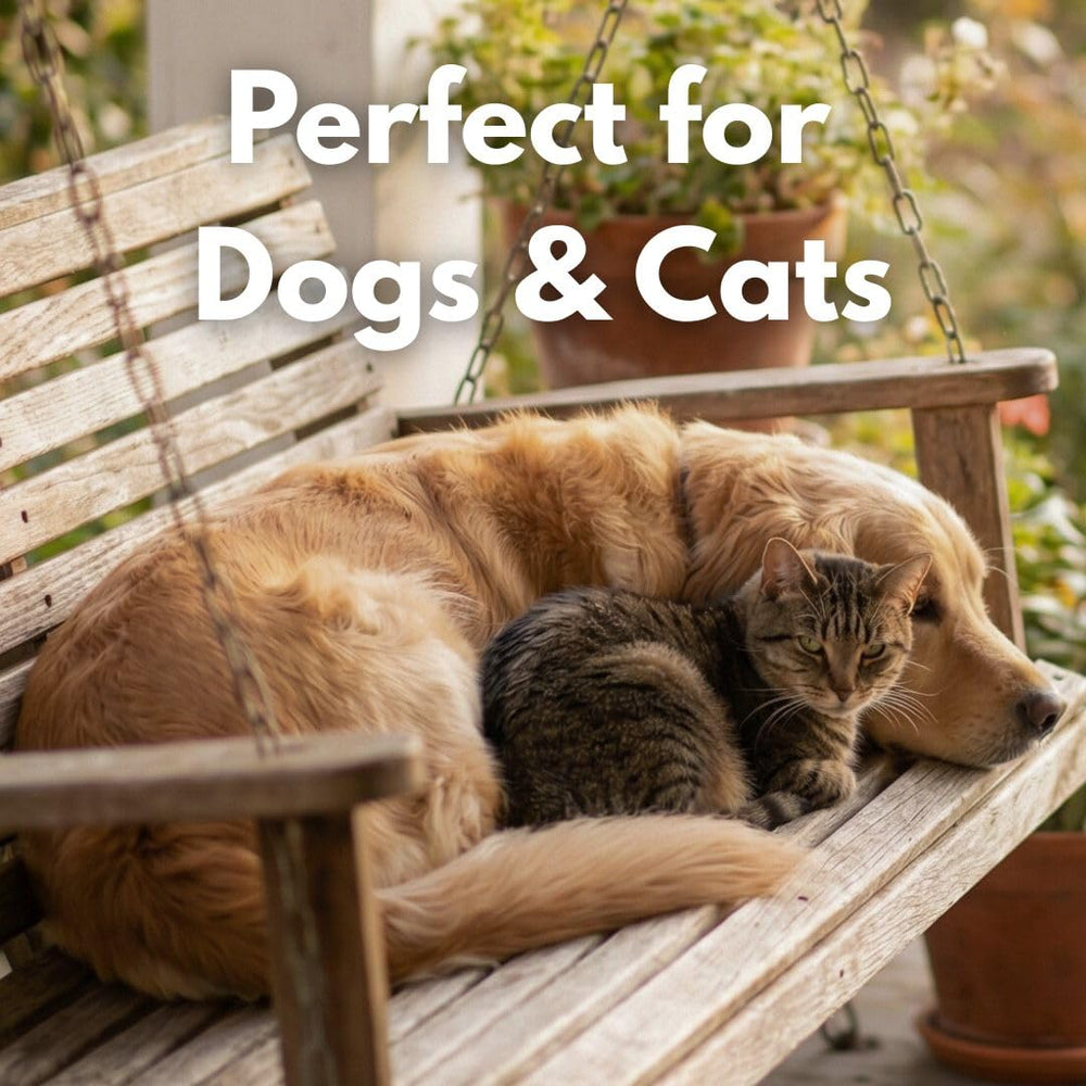 Friandise polyvalente Hook Point Fisheries pour chiens et chats, récompense quotidienne.
