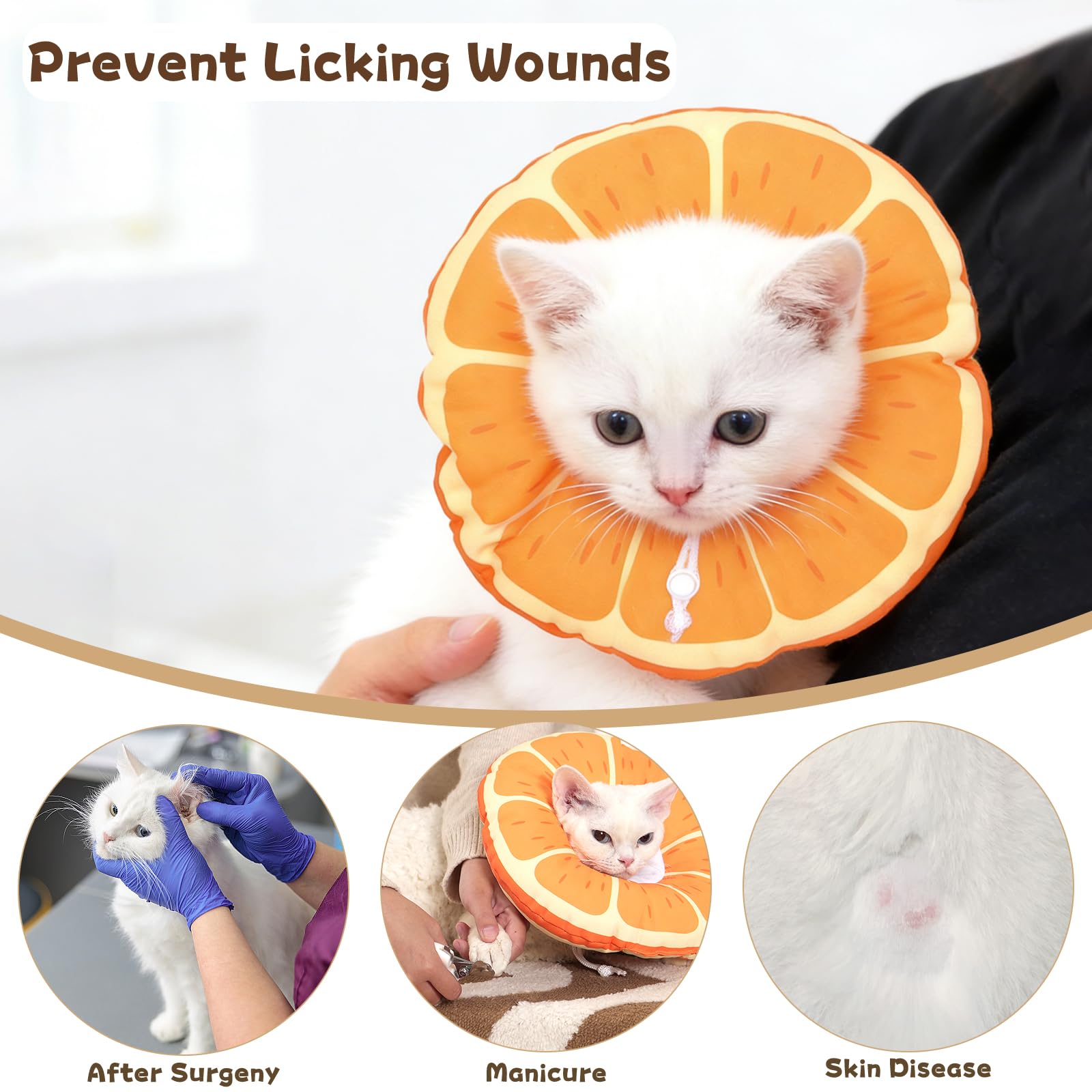 Hoopttay collier conique chat protection lors des soins et du toilettage.