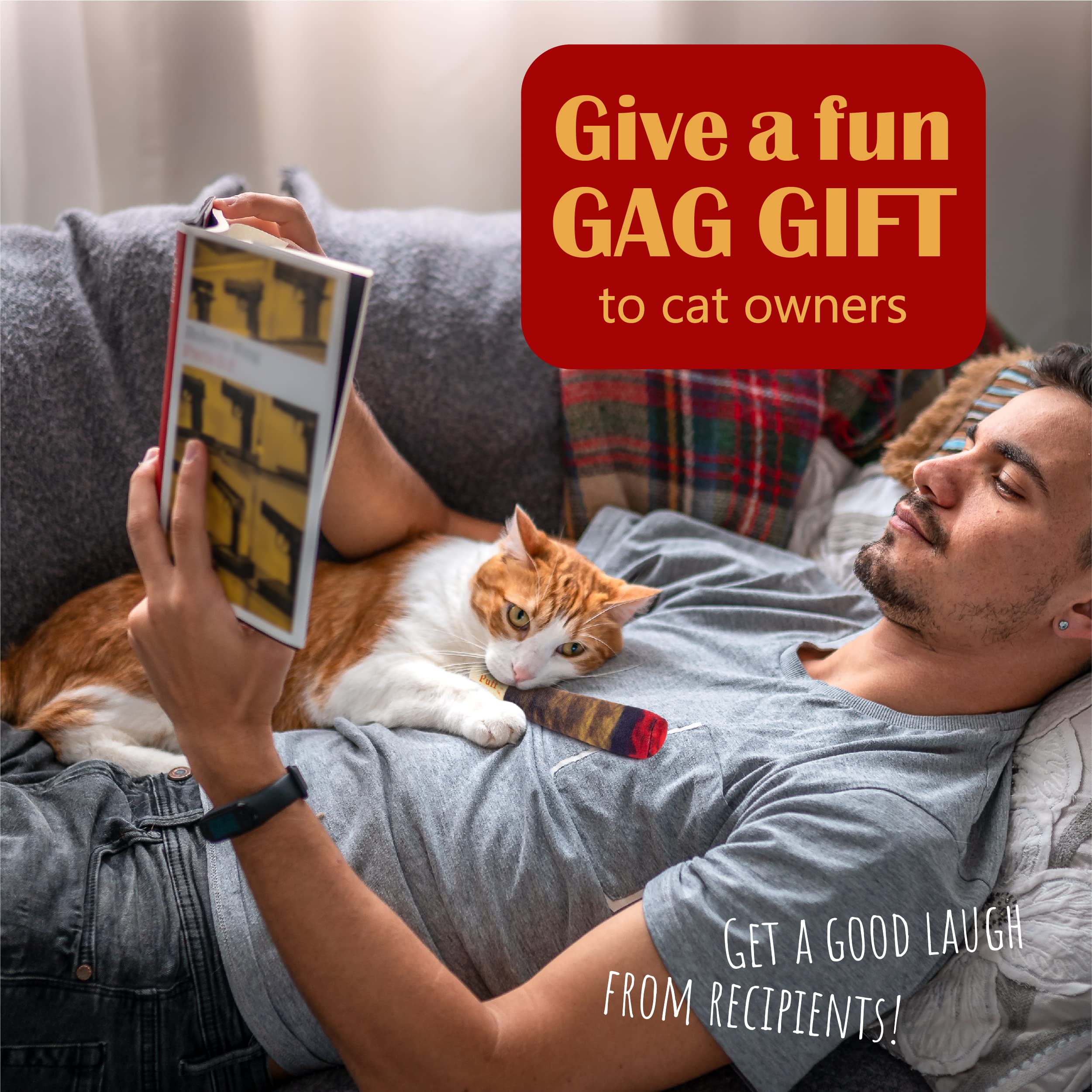 Hoovy jouet catnip doobies cadeau pour chat