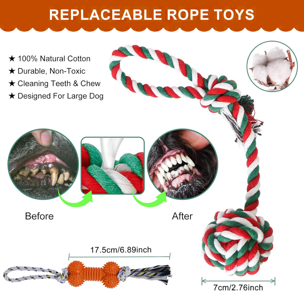 Jouet Hopet: corde élastique suspendue, jeu en autonomie pour chien occupé.