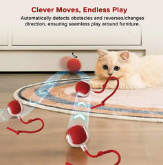Hopezone queue filet élastique remplaçable, parfaite pour chats joueurs.