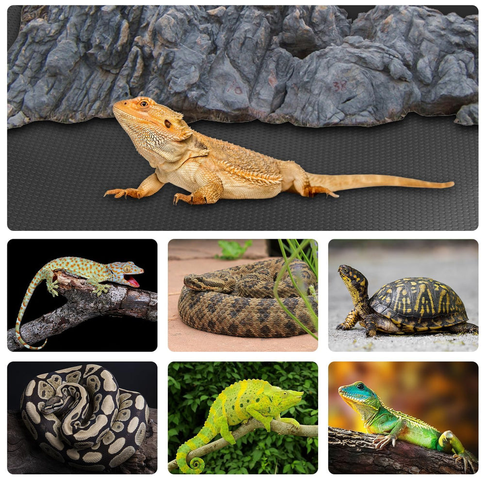 Tapis Hoplaep EVA sécurité, surface douce et sûre pour reptiles.
