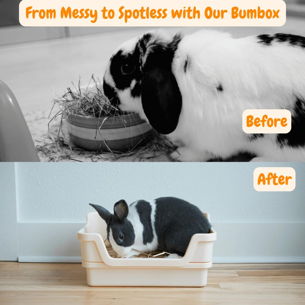 HoppScotch.bun Bumbox couleur crème, design discret pour la maison