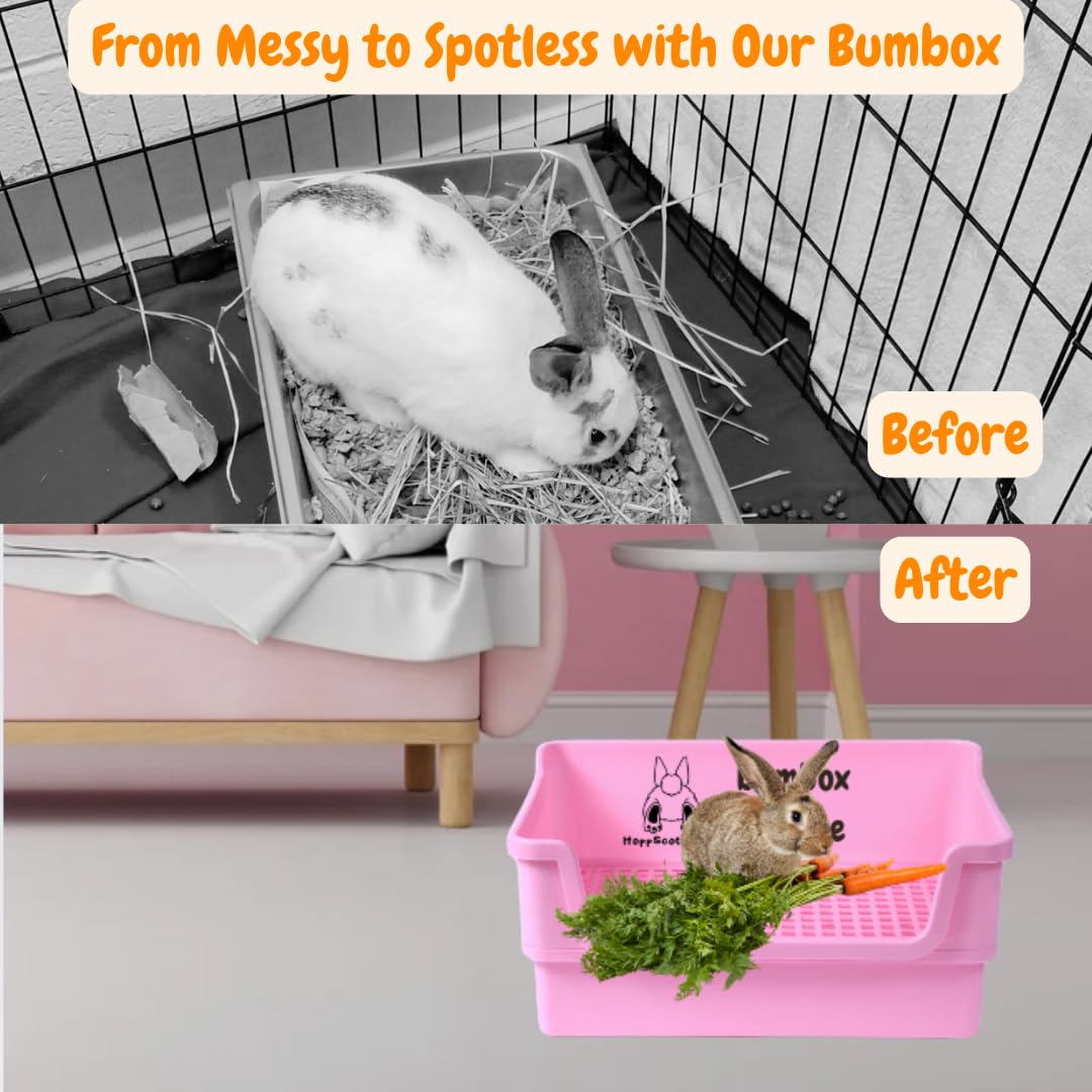 HoppScotch.bun Bumbox bac déposé, nettoyage facile.