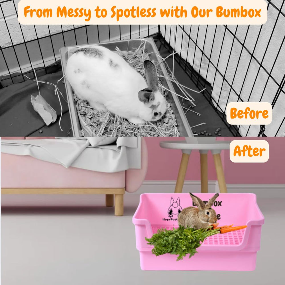 HoppScotch.bun Bumbox bac déposé, nettoyage facile.