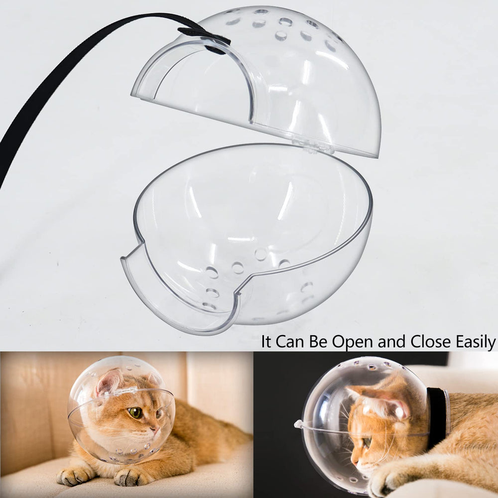Hoqqf chat tailles compatibles pour chats pesant 4,5–6,5 kg