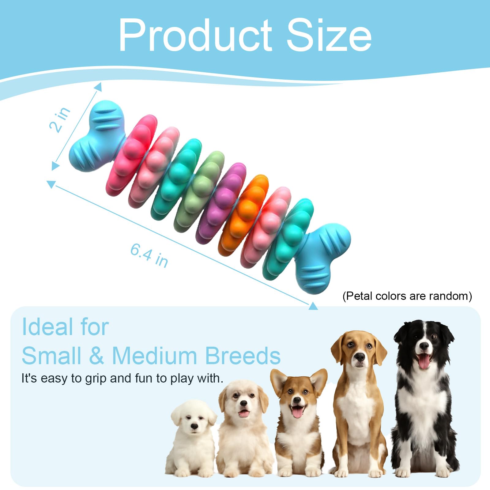Jouet HORIBND pour petits et moyens chiens, design coloré et prise en main