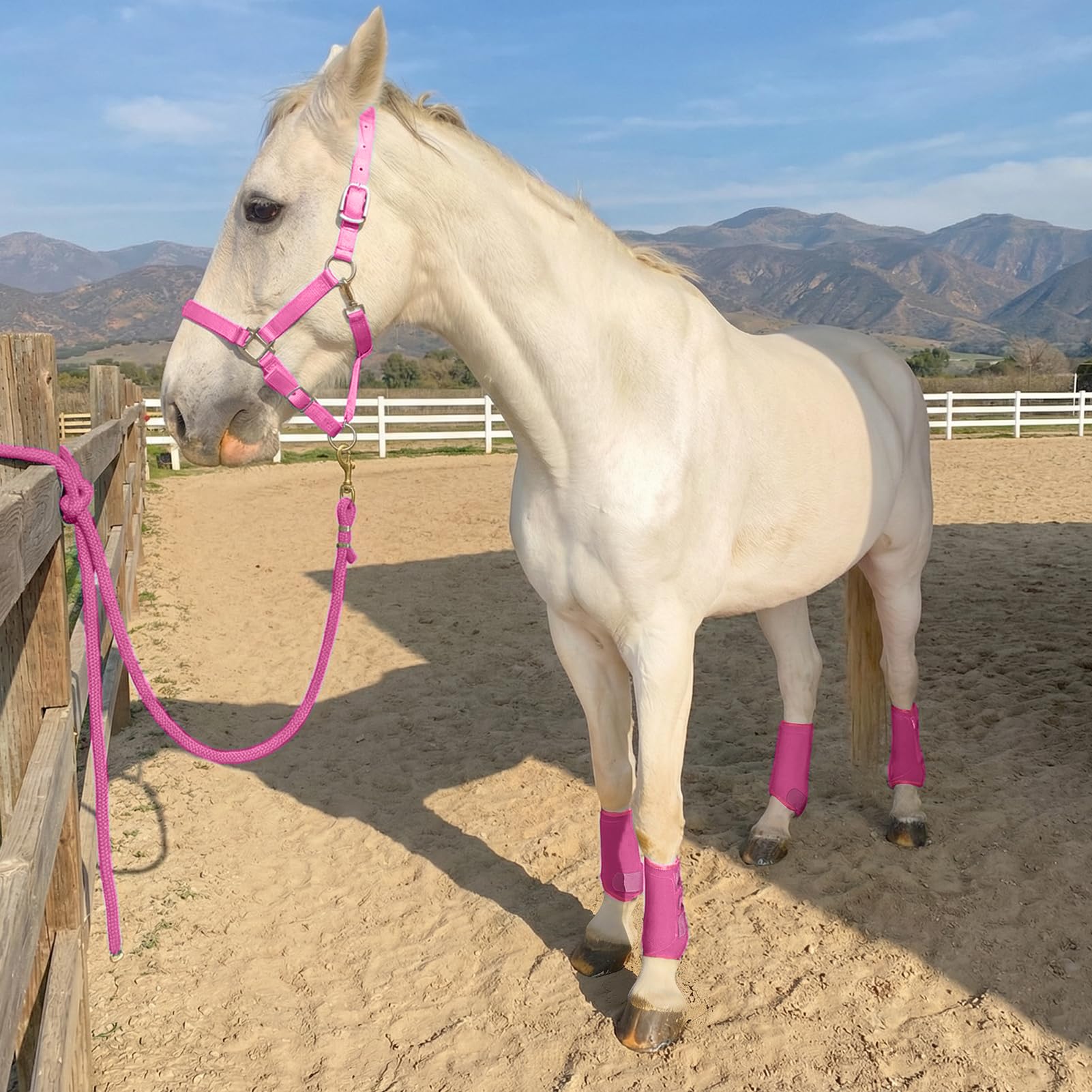 Horntack bottes splint raspberry perforations, ventilation efficace.