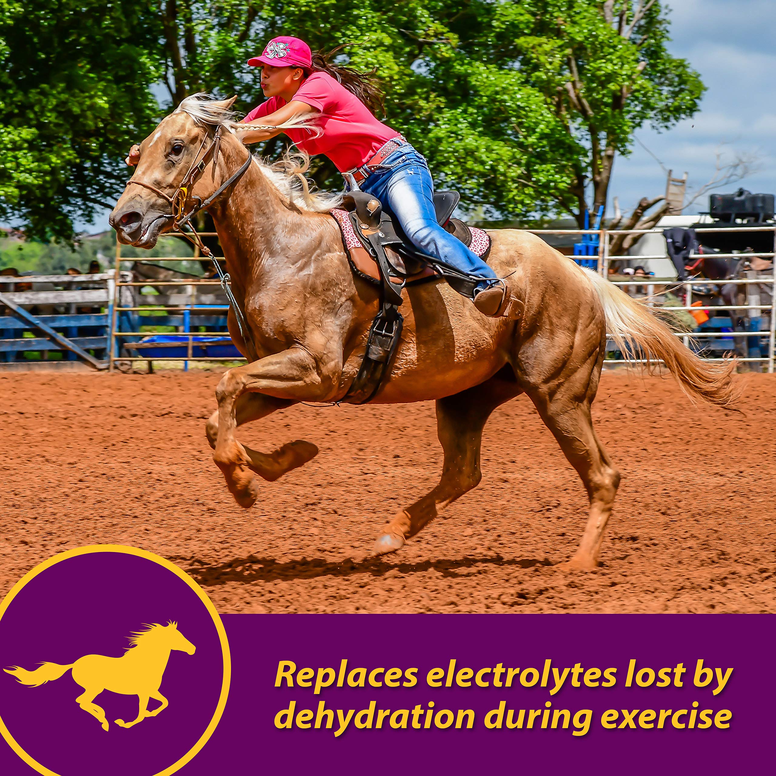 Apple-Dex Horse Health avec doseur pour mesurer la portion quotidienne d’électrolytes.