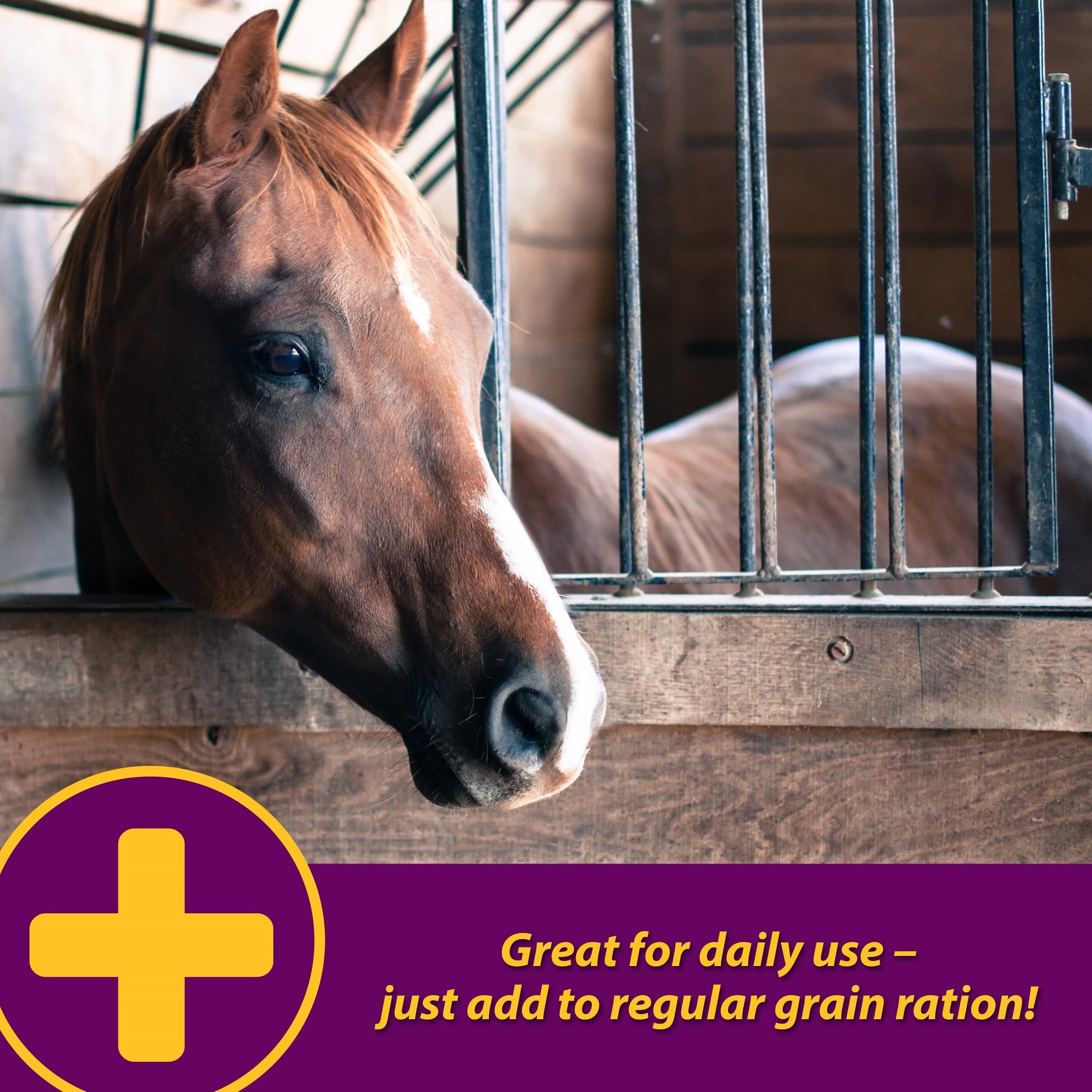 Ration du cheval mélangée avec Apple-Dex pour soutenir l’équilibre électrolytique.