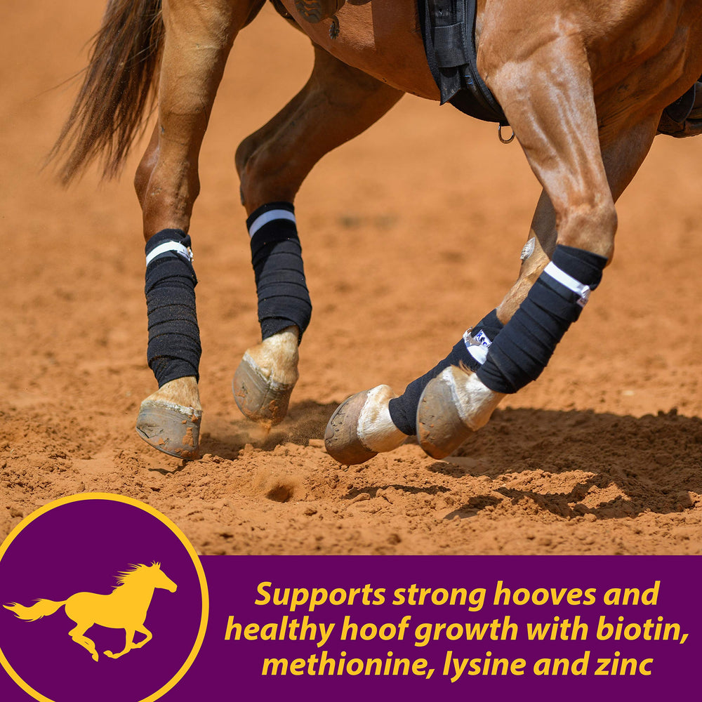 Horse Health biotine et zinc soutiennent sabots et peau