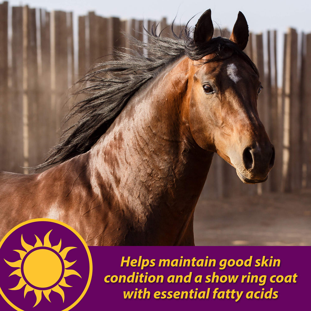 Horse Health huile de soja et lin: sources d’acides gras essentiels.