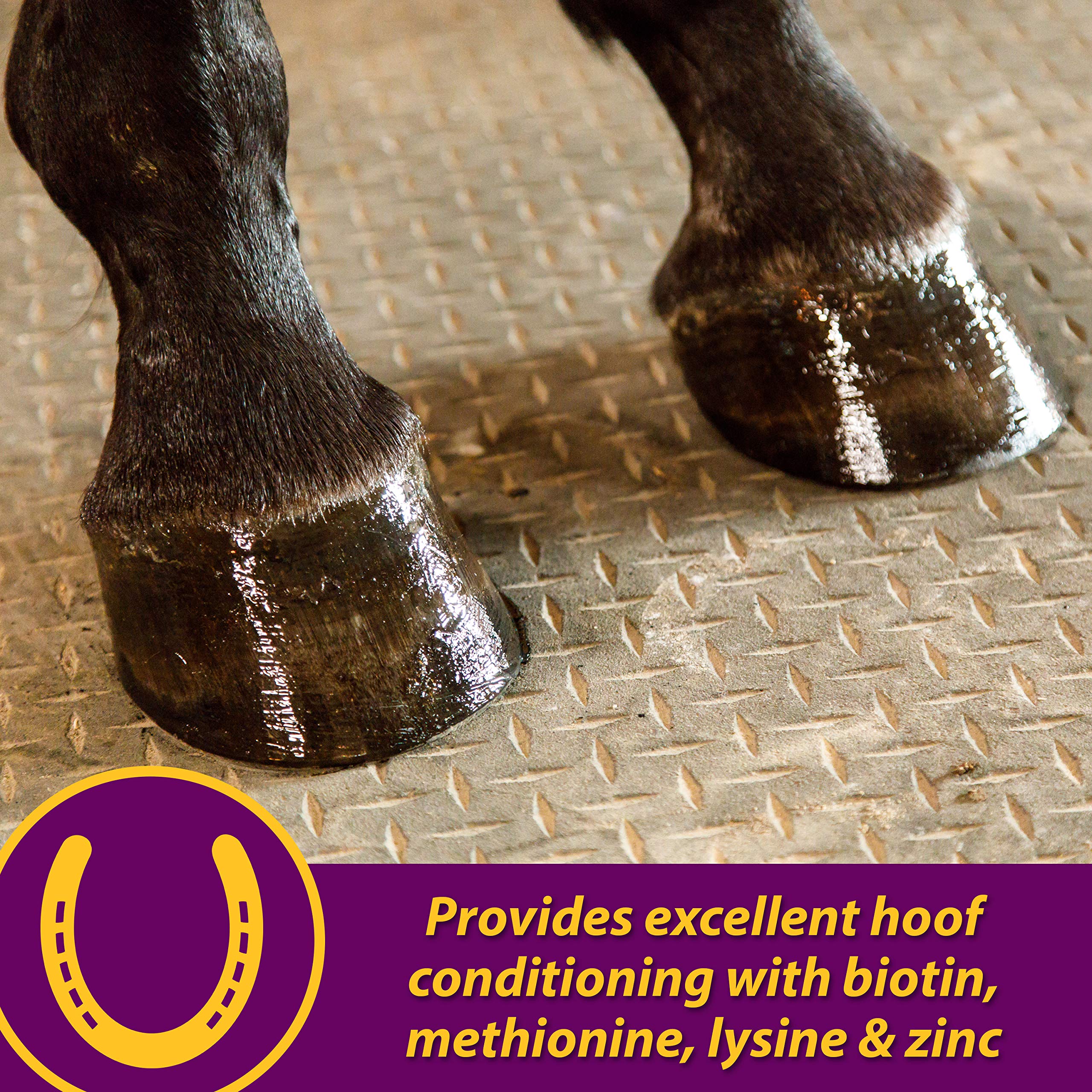 Horse Health peau et pelage brillants et sains
