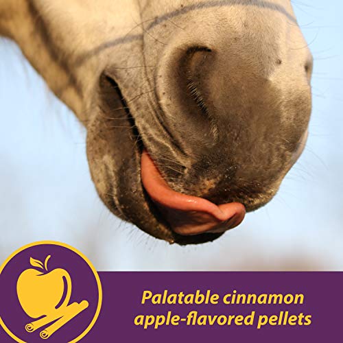 Horse Health pellets pomme cannelle appréciés par les chevaux
