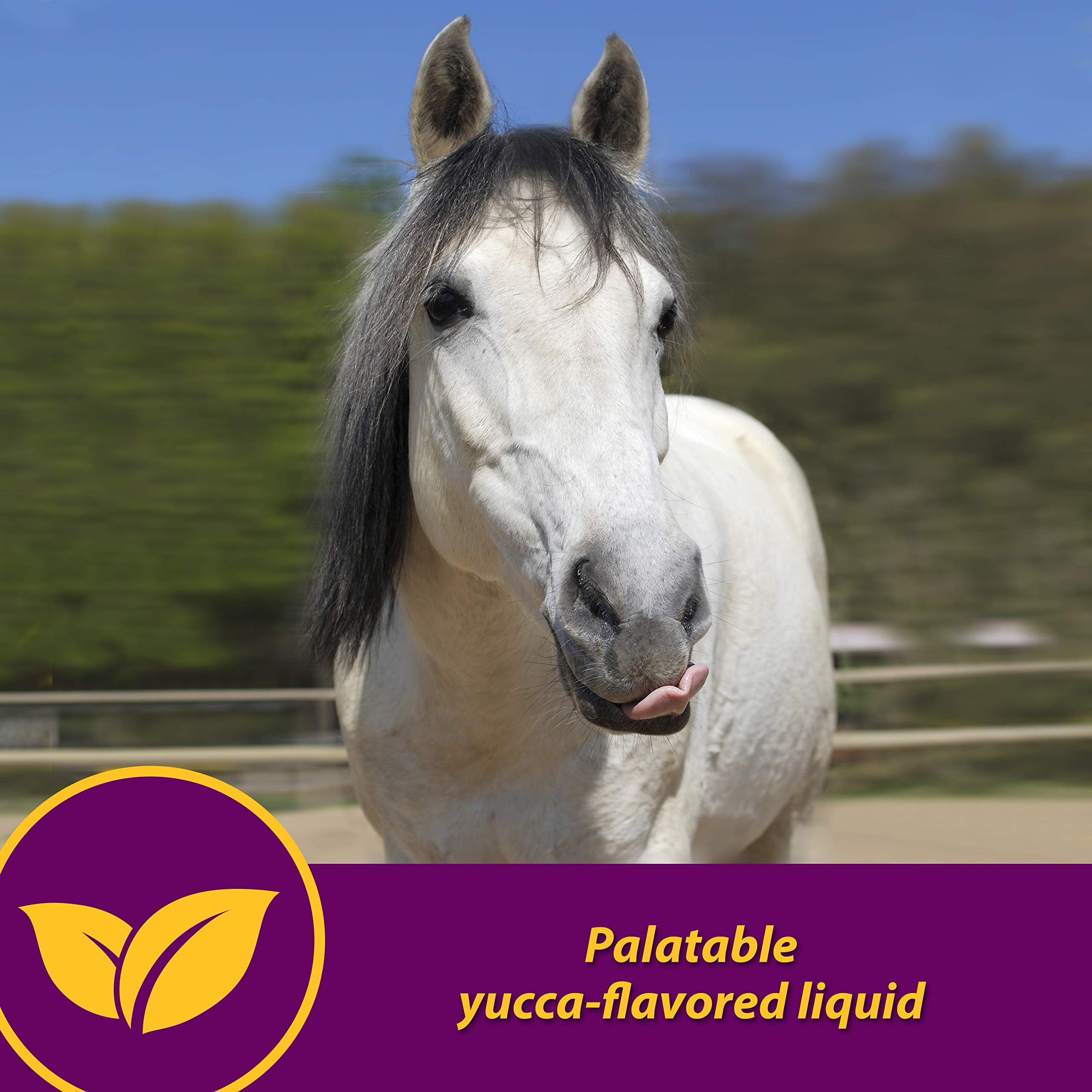 Horse Health Red Cell – complément nutritionnel dans l'alimentation
