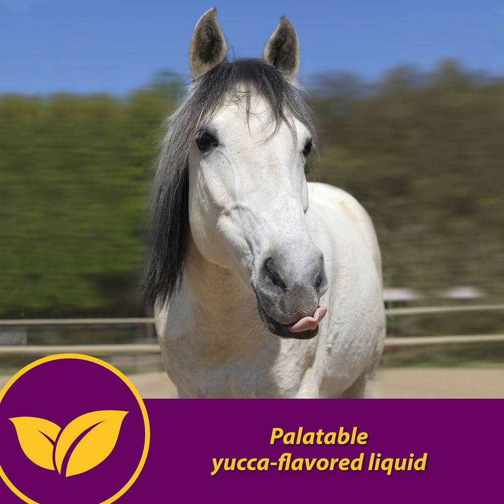Horse Health Red Cell – complément nutritionnel dans l'alimentation