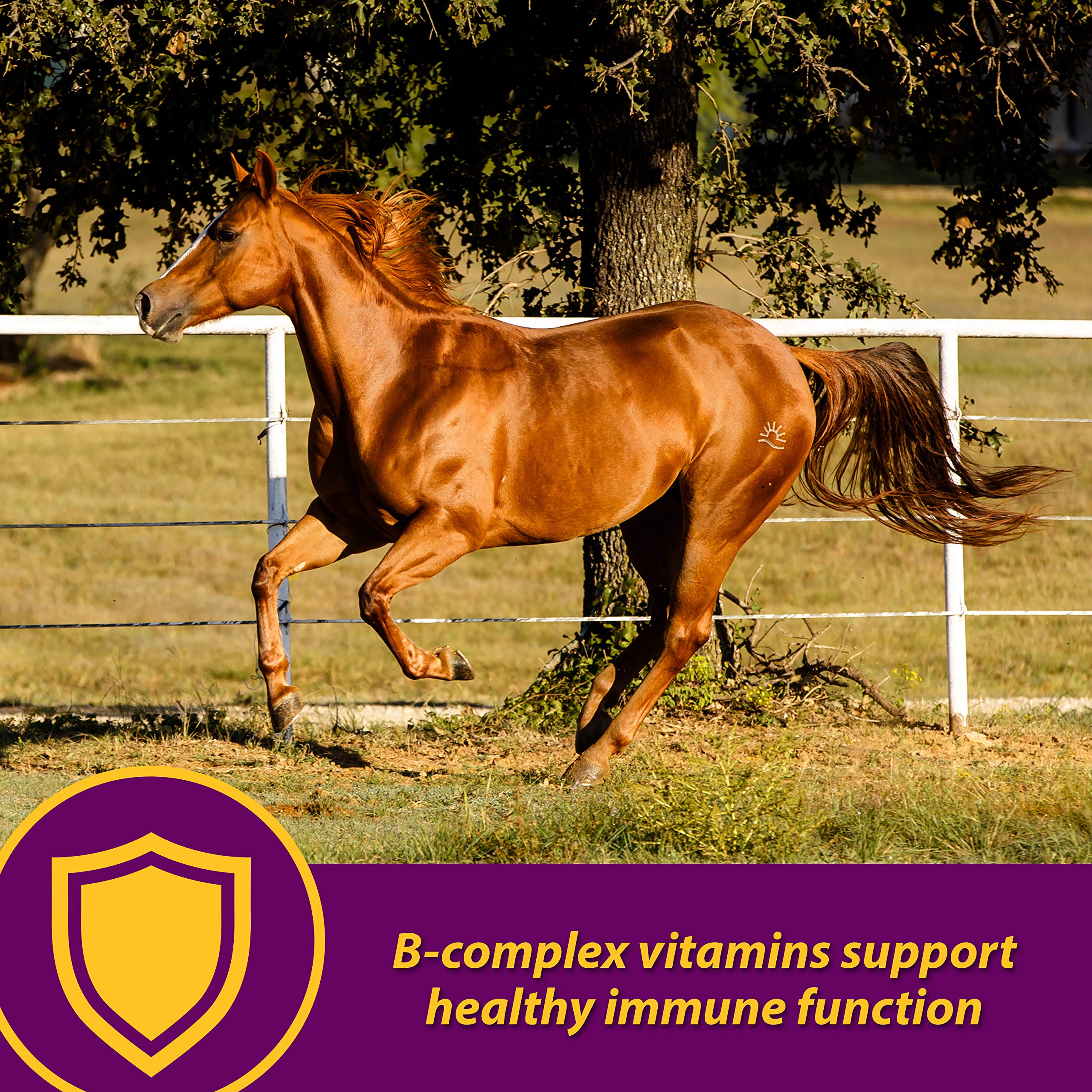 Horse Health Red Cell – étiquette-produit visible et informative