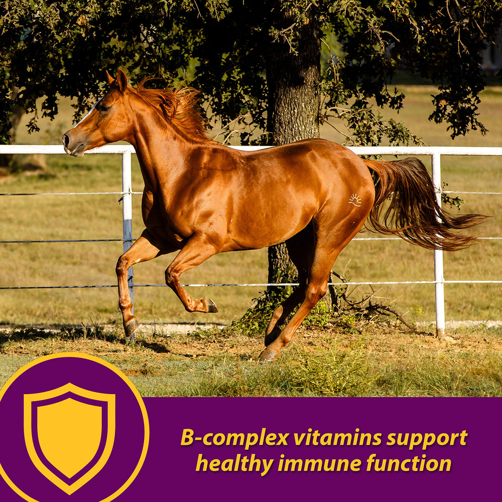 Horse Health Red Cell – étiquette-produit visible et informative