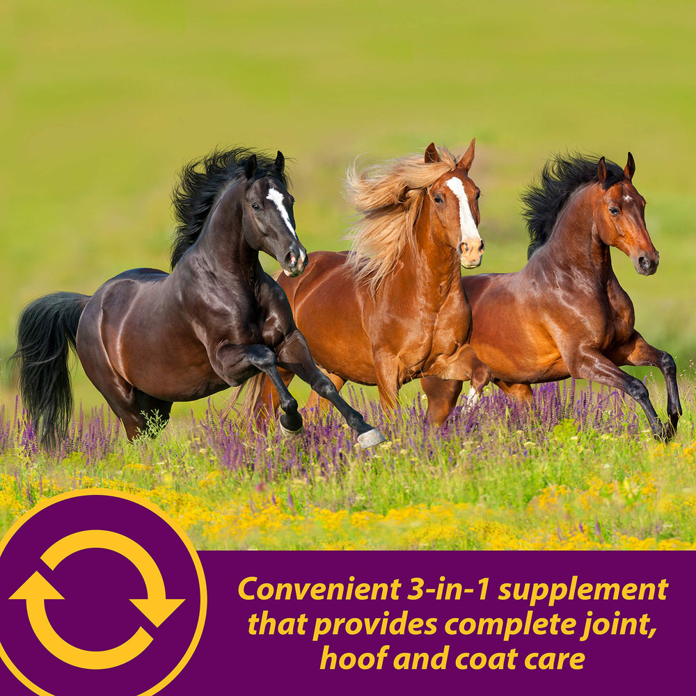 Horse Health soutien articulations et sabots du cheval