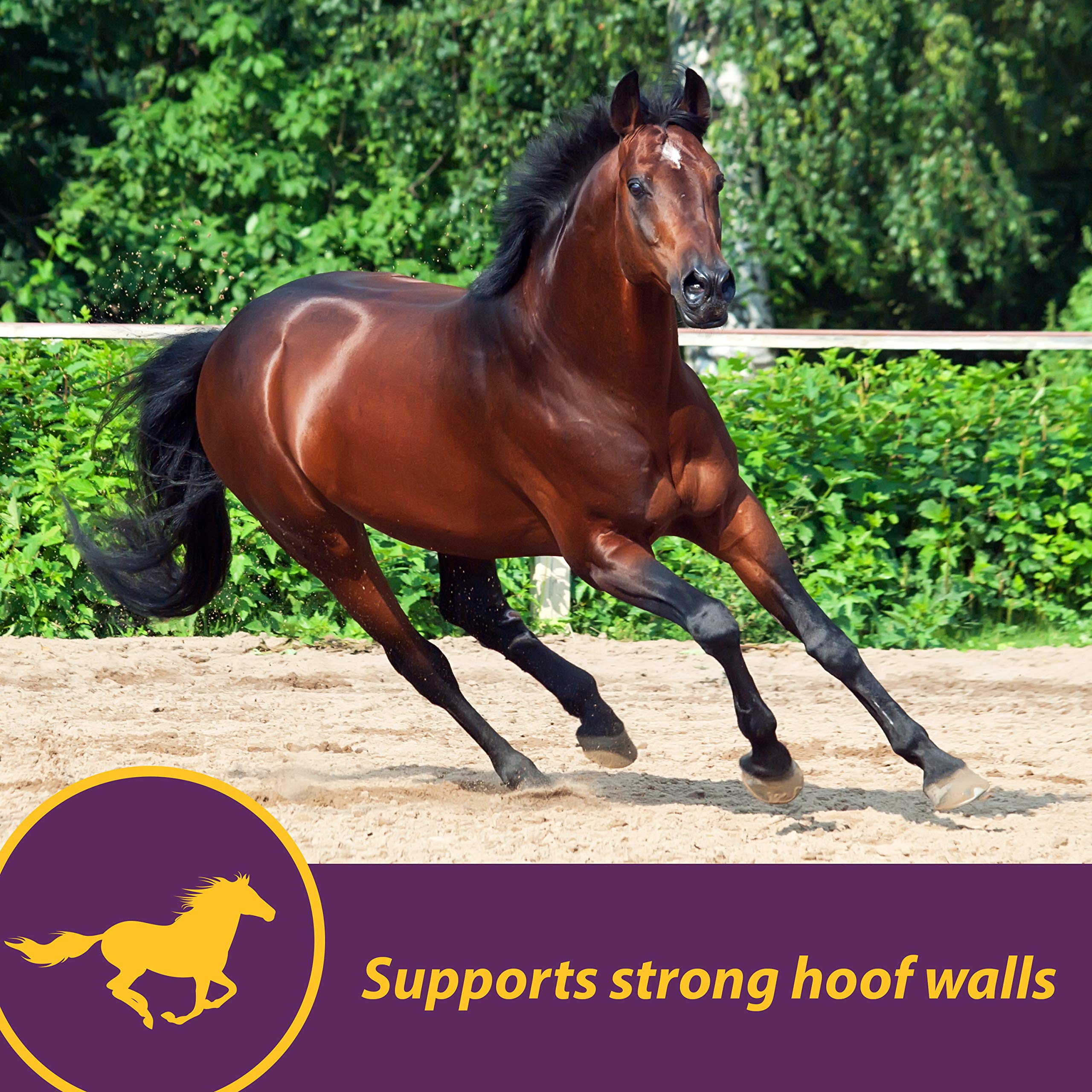 Horse Health Vita Biotin Crumbles - formation de keratine pour sabots plus forts