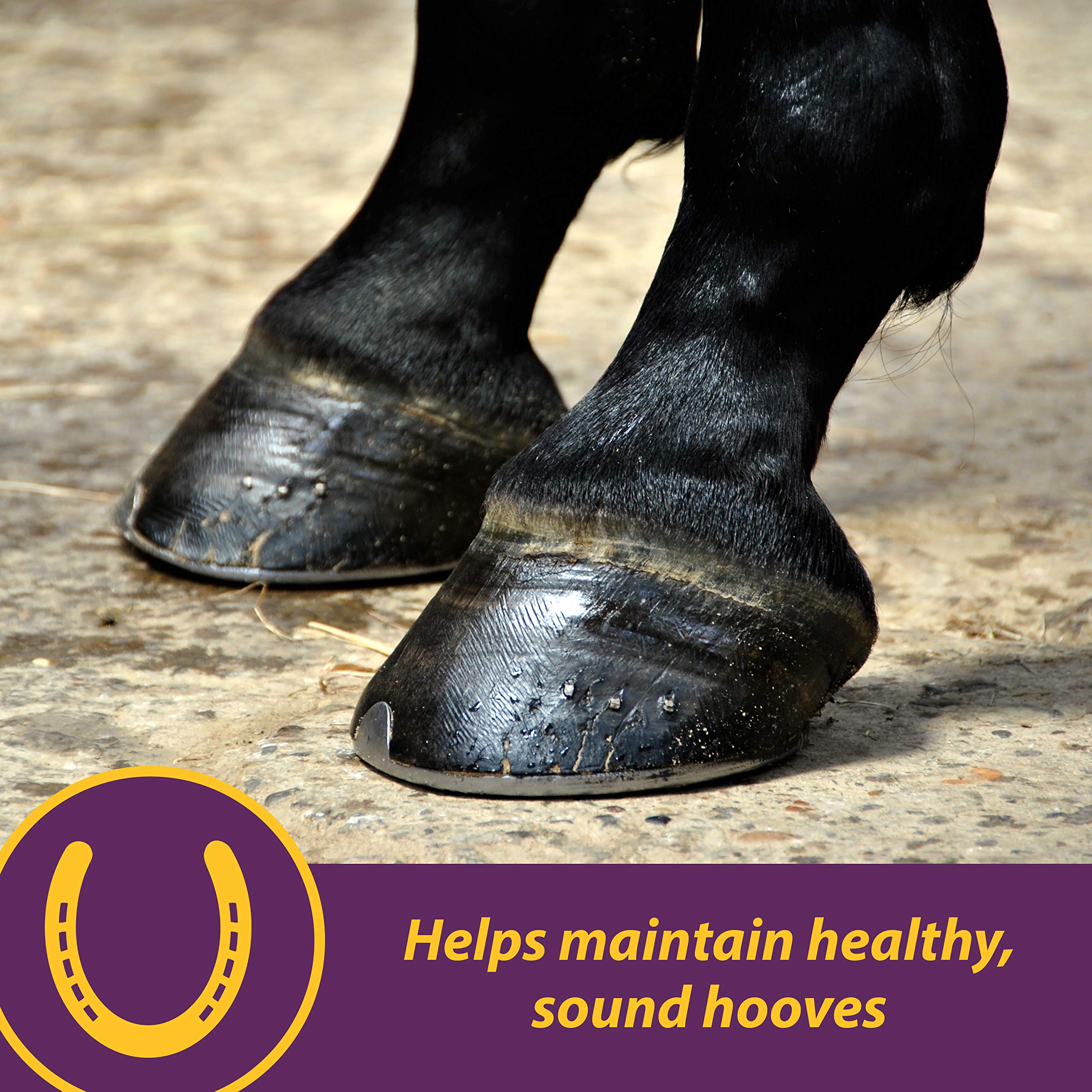 Horse Health Vita Biotin Crumbles - murs du sabot solides et reduction des craquelures