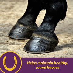 Horse Health Vita Biotin Crumbles - murs du sabot solides et reduction des craquelures