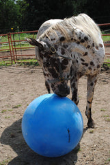 Horsemen's Pride ballon Mega, stimulation mentale et exercice sûr pour chevaux