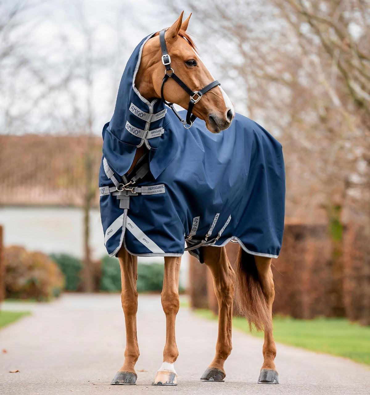 Horseware Amigo 1200D avec capuche intégrée, protection contre les intempéries et confort accru.