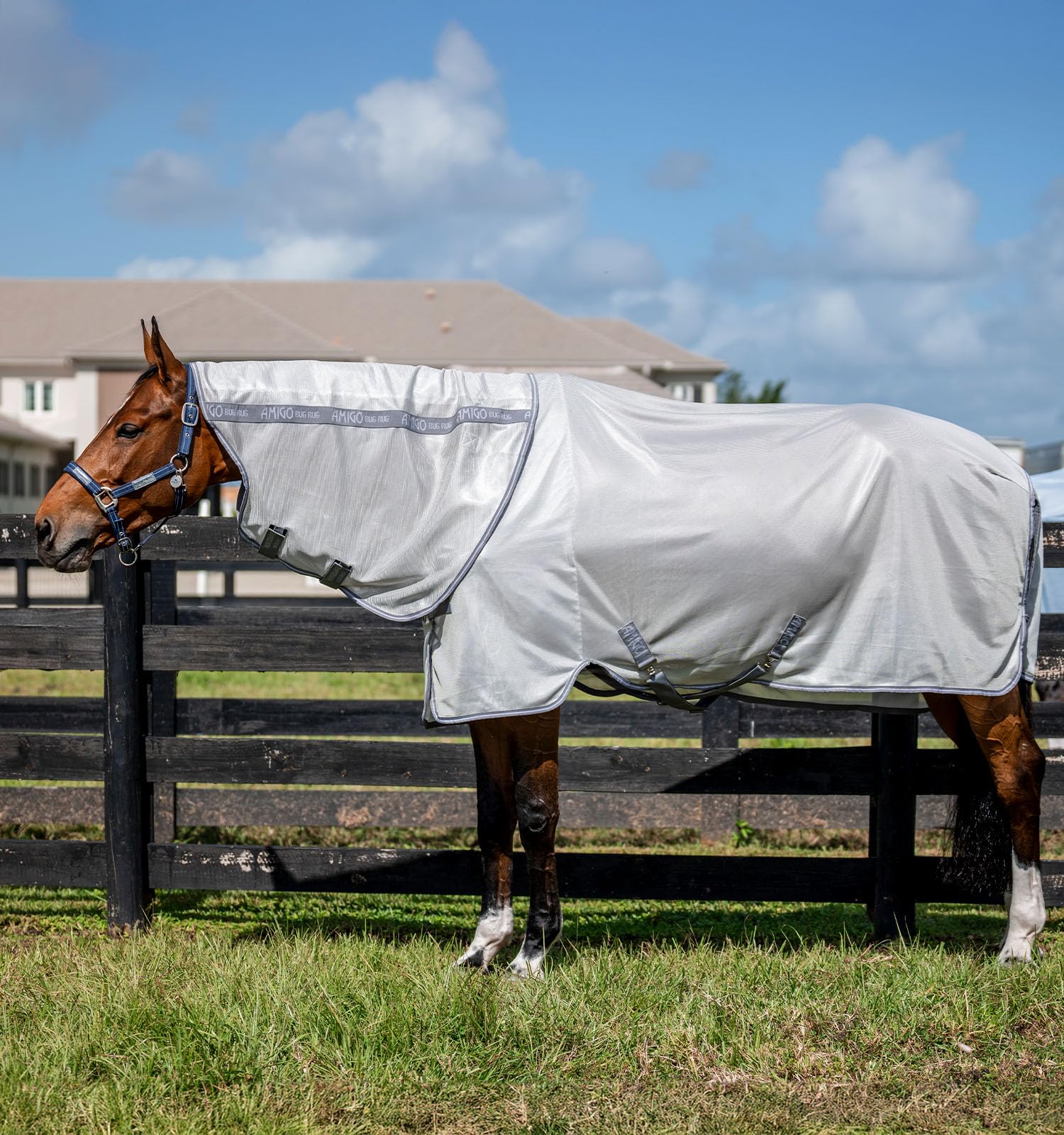 Capuche amovible sur Horseware Amigo Bug Rug Plus pour une protection adaptable.