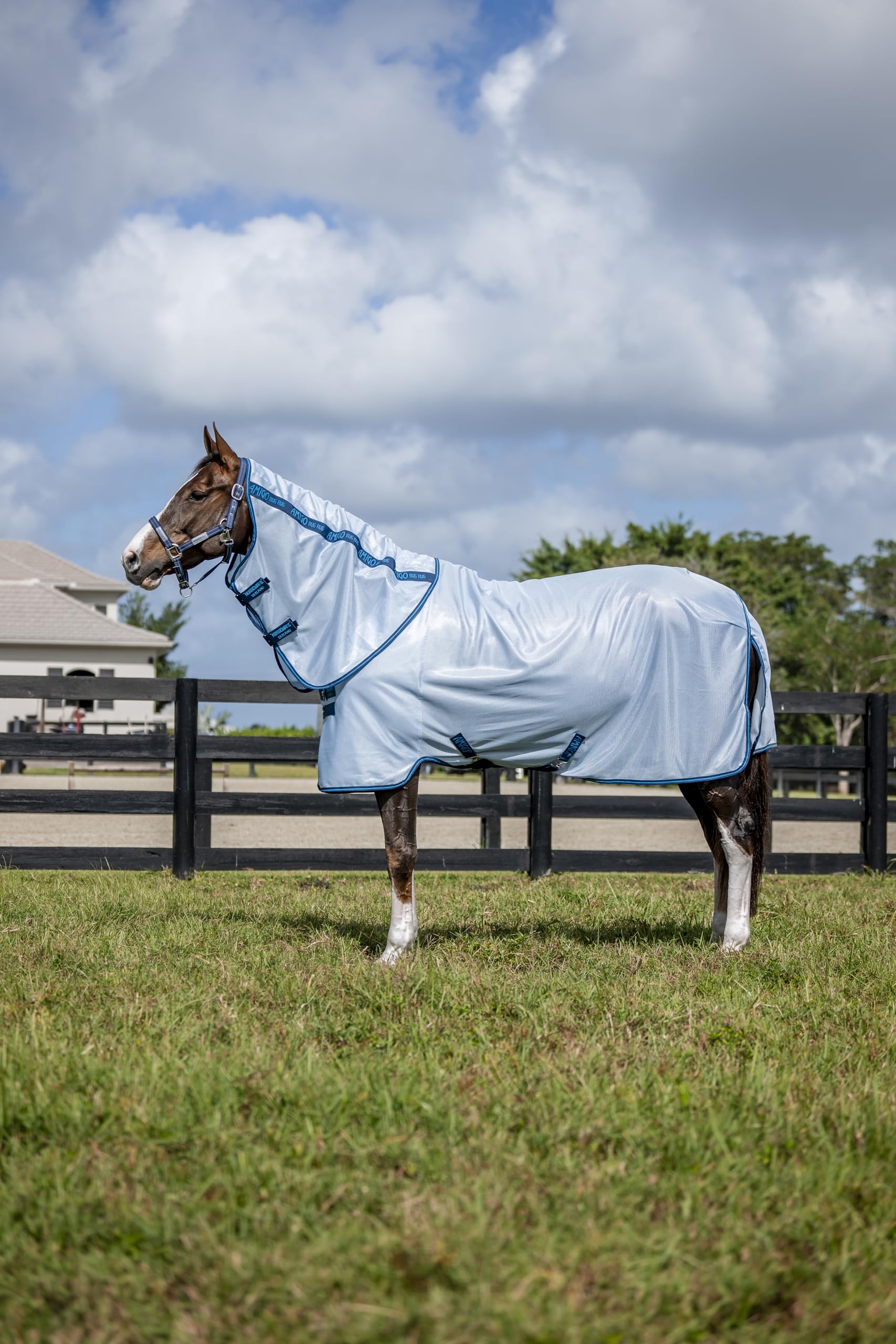Horseware Amigo Bug Rug Plus protection-insectes pour cheval en extérieur