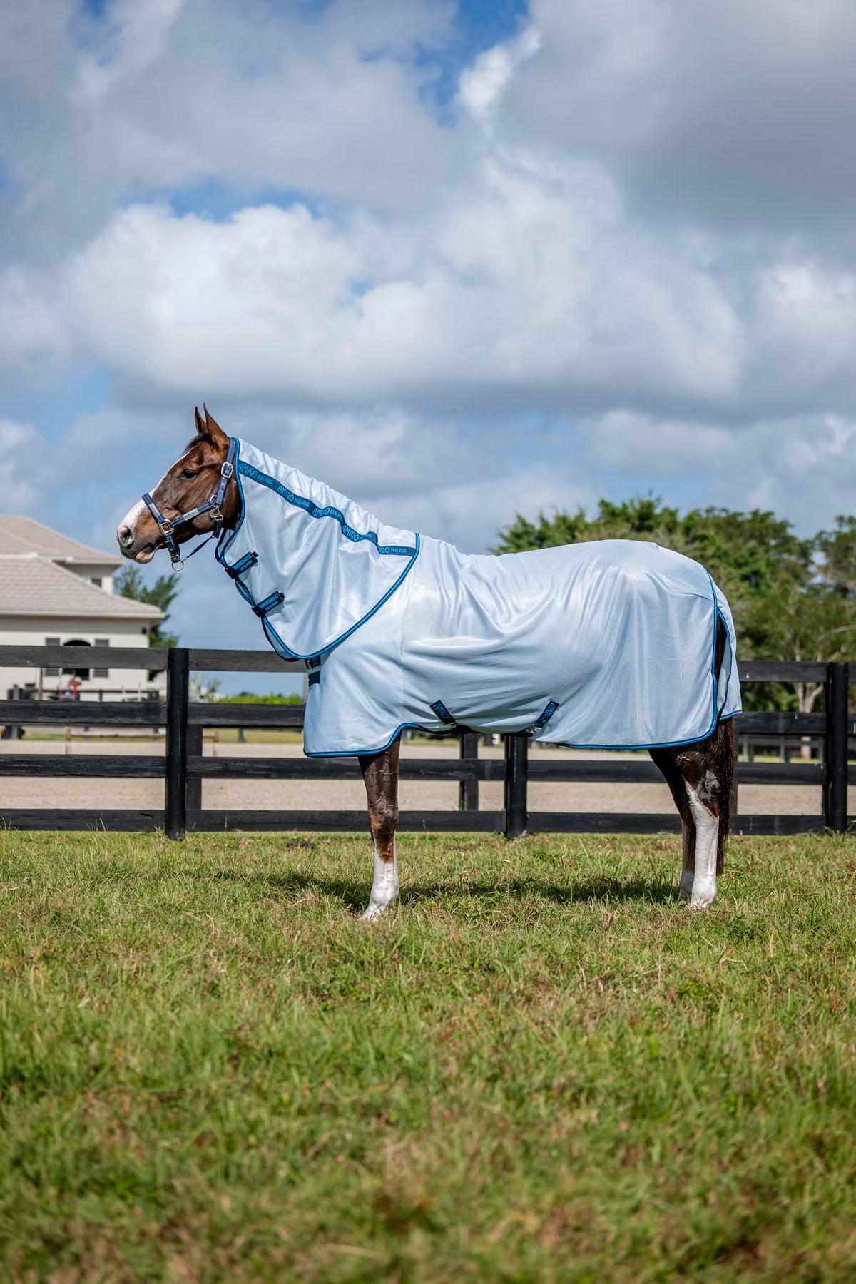 Horseware Amigo Bug Rug Plus protection-insectes pour cheval en extérieur