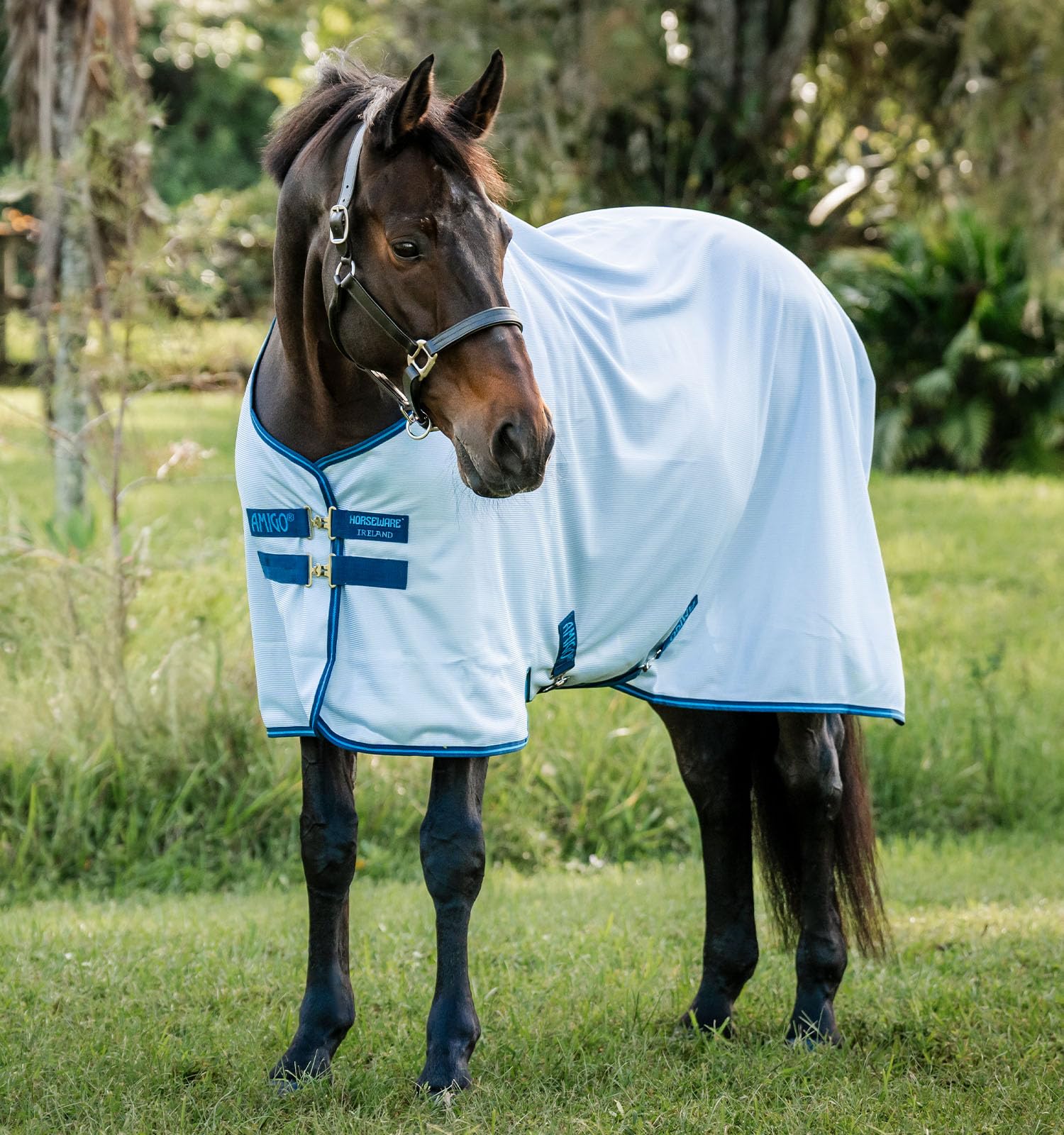 Couverture anti-mouches Amigo de Horseware: fermeture frontale robuste pour un ajustement sûr.
