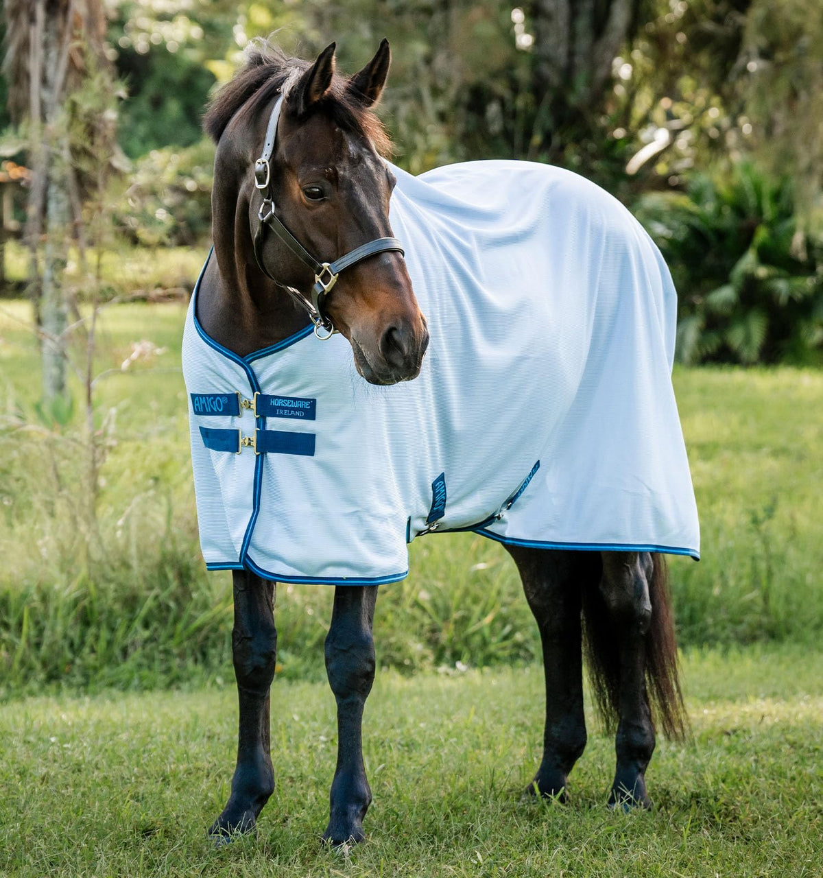 Couverture anti-mouches Amigo de Horseware: fermeture frontale robuste pour un ajustement sûr.