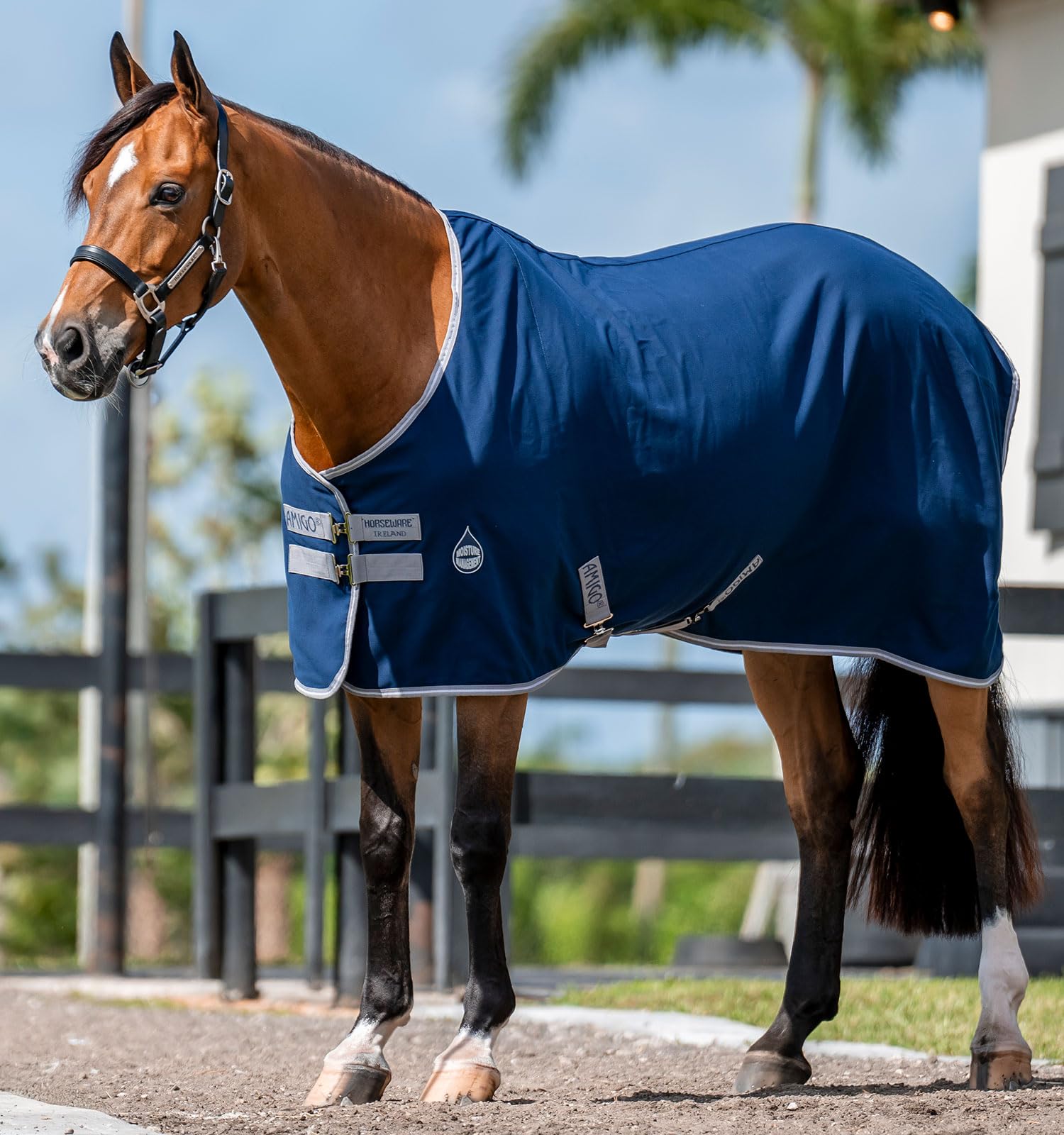 Horseware Amigo drap d'écurie lien-queue assure maintien et style.