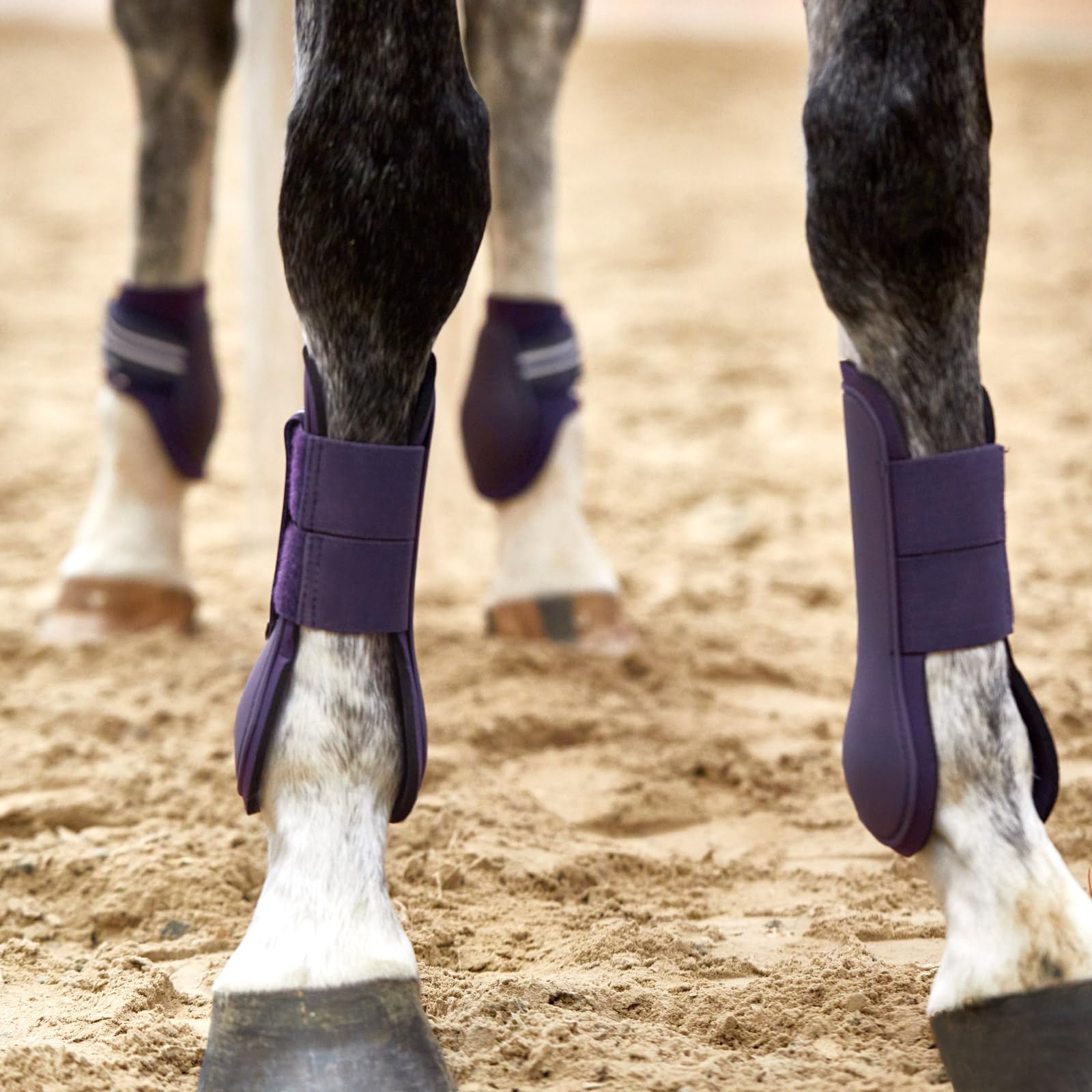 Horze Adepto bottes tendon coloris vifs pour un look en manège.