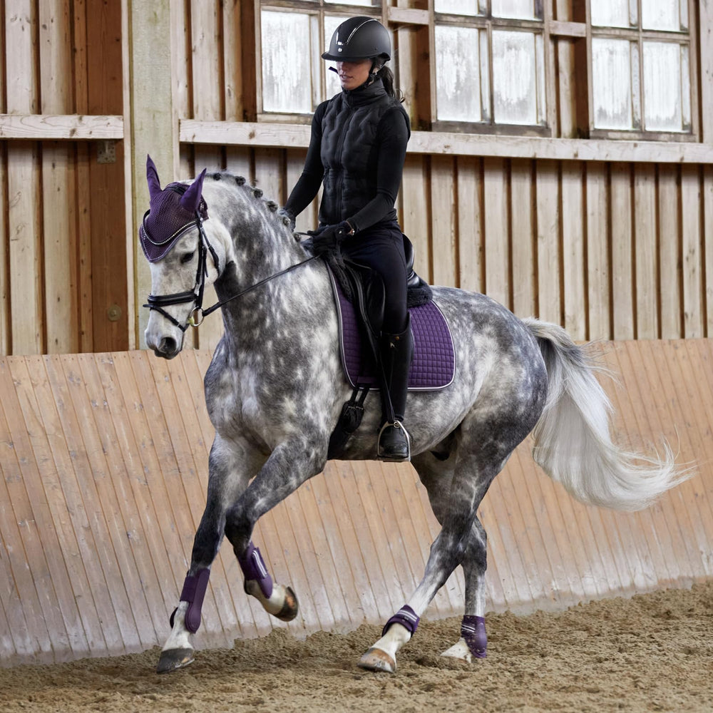 Horze Adepto fermetures à scratch robustes assurant un maintien sûr.