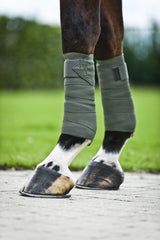 Bandages polo HORZE Nest avec fermeture Velcro rapide et ajustement sûr.