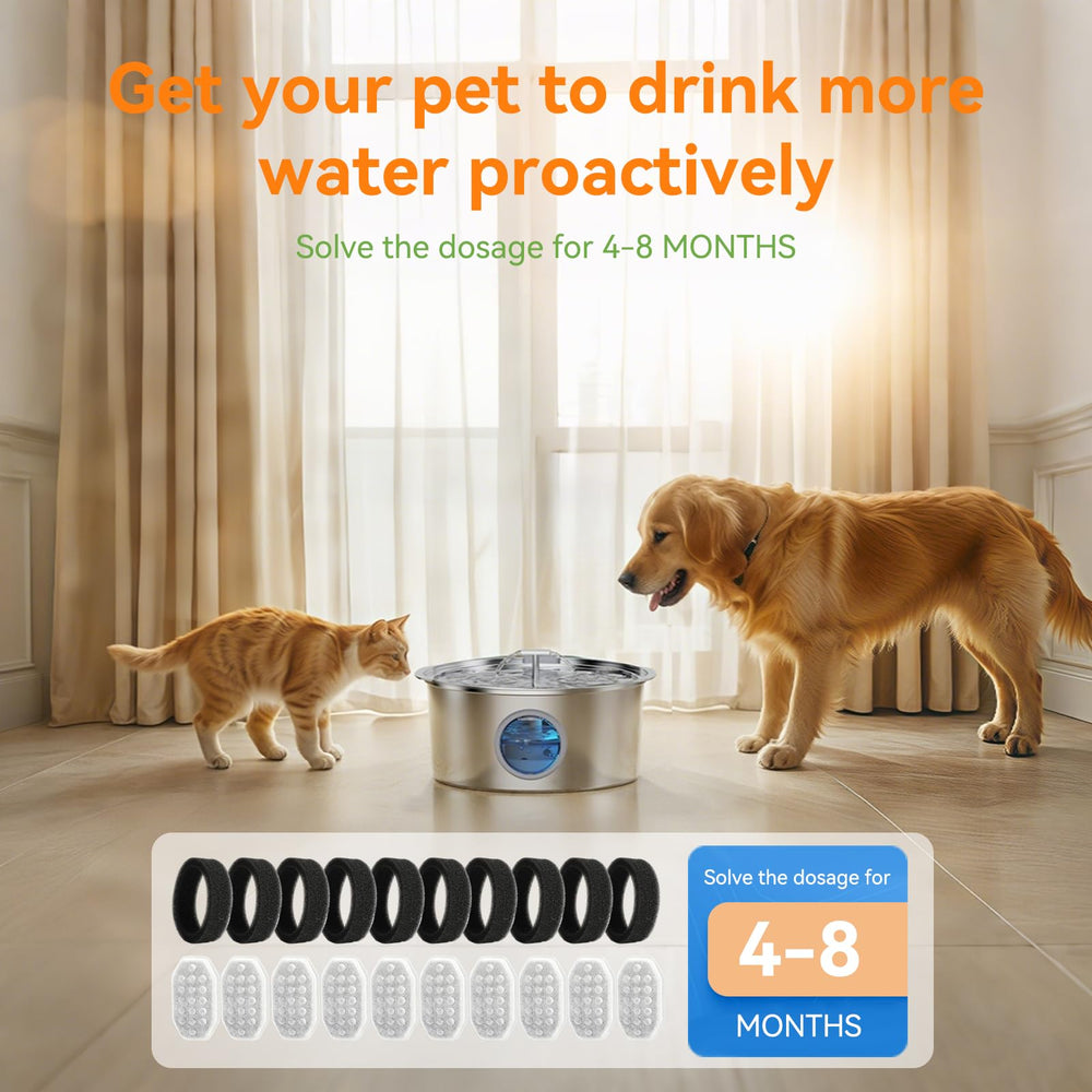 Hydratation accrue pour chat avec kit filtrant Hoscabss.