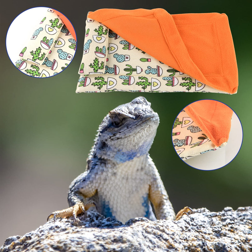 HOSUKKO cachette-habitat lézard orange refuge sûr