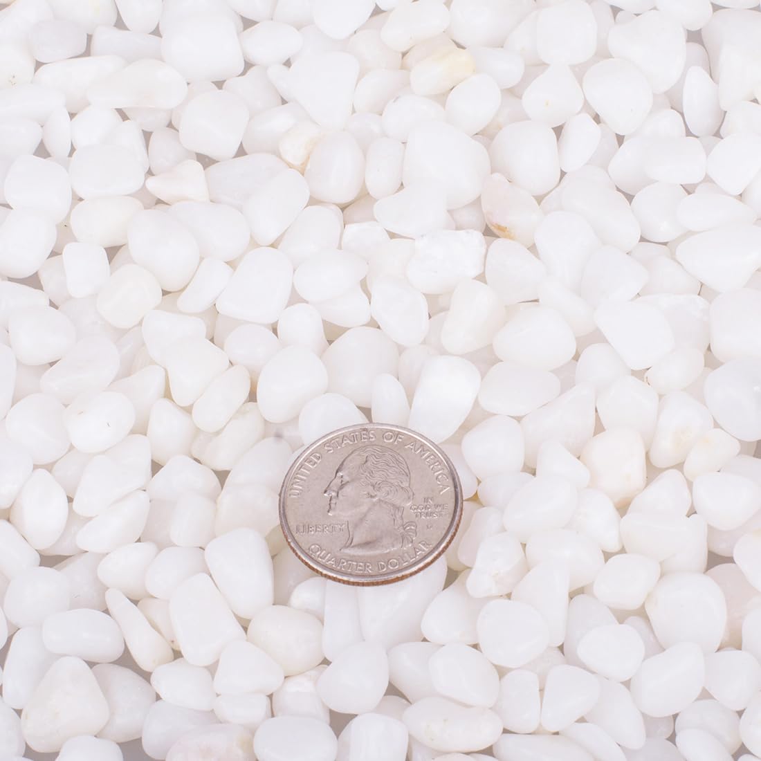 Galet blanc HOT SEAL pour pots et plantes, décoration durable et élégante.