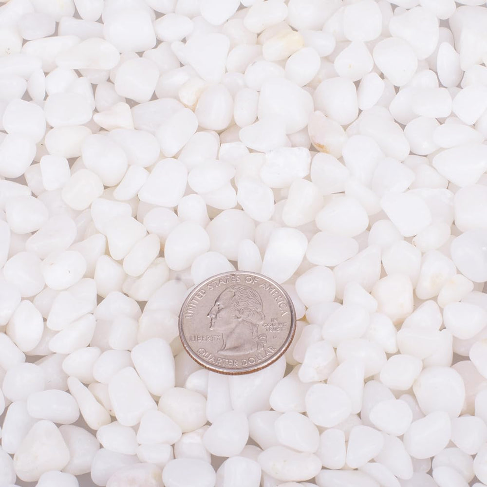Galet blanc HOT SEAL pour pots et plantes, décoration durable et élégante.