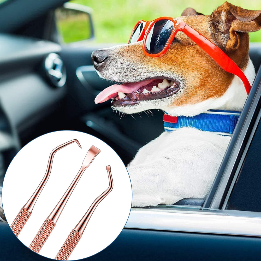 Hotop accessoires dentaires chien et chat, travail efficace.