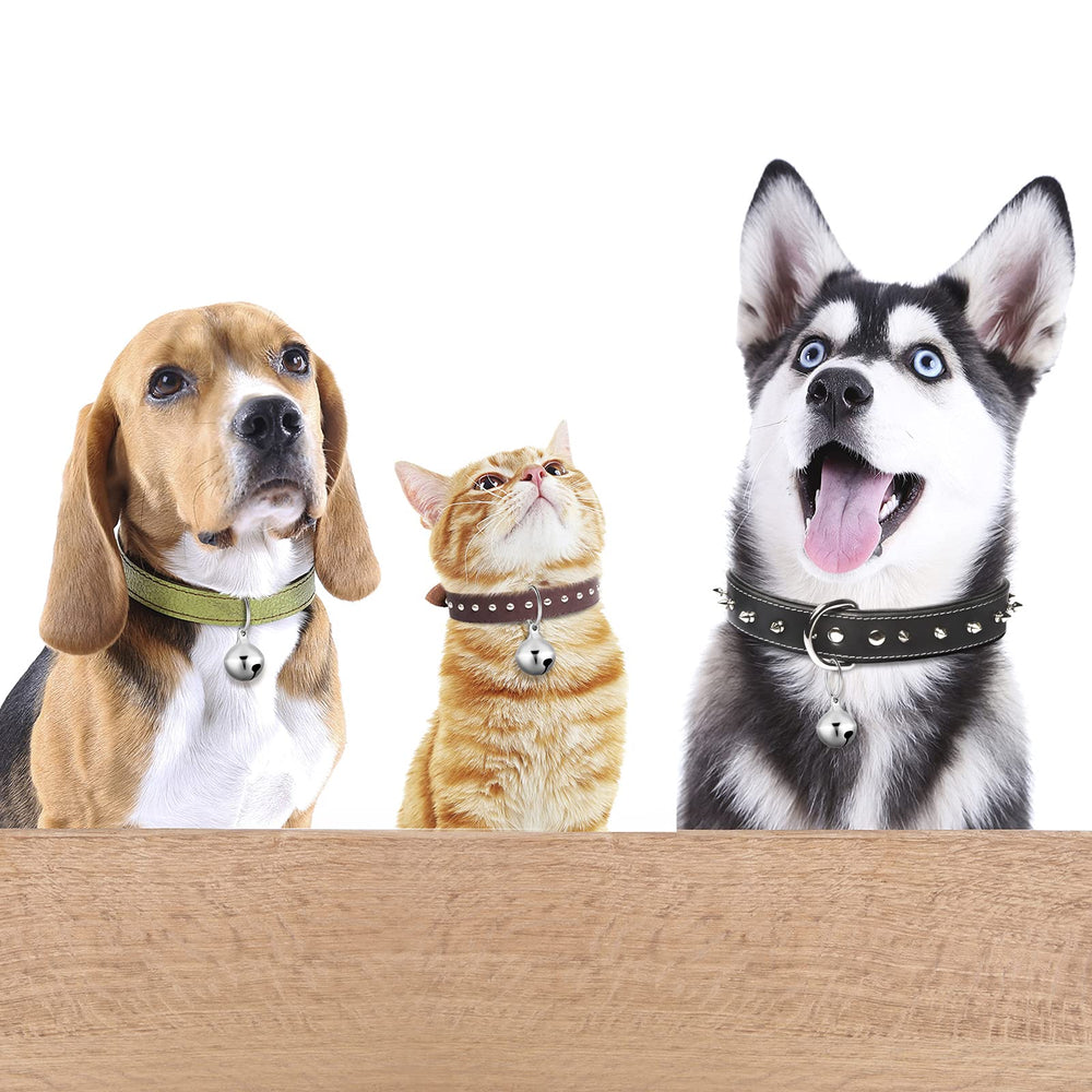 Hotop cadeau idéal pour propriétaires d’animaux, facile à offrir.