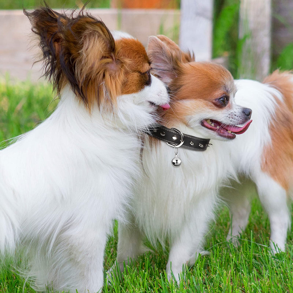 Hotop cloche-traceur chien, tracez facilement votre animal sans le chercher.