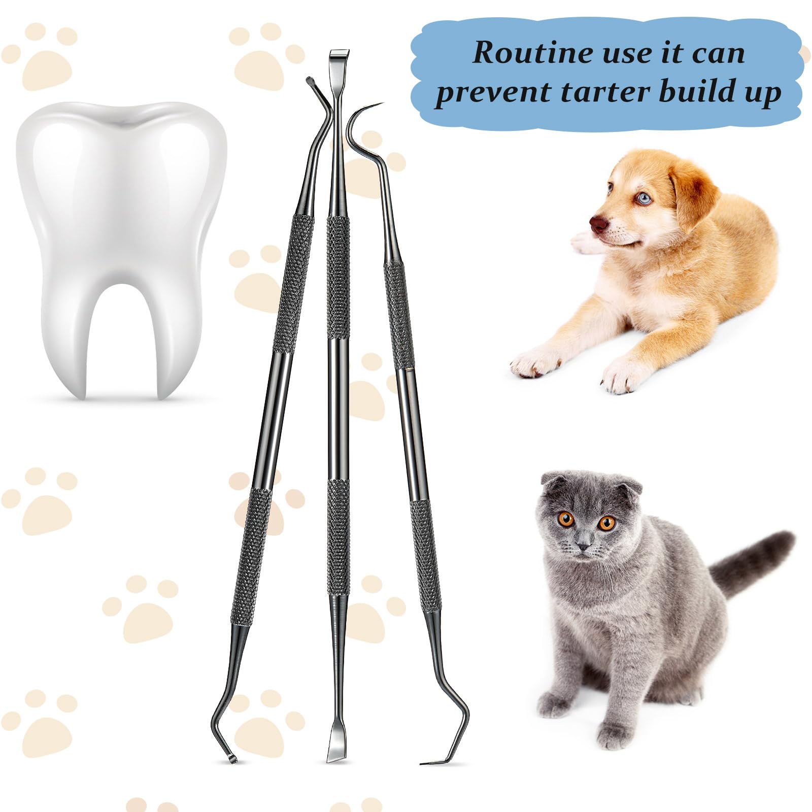 Hotop detartrage dentaire chiens et chats utilisation étapes