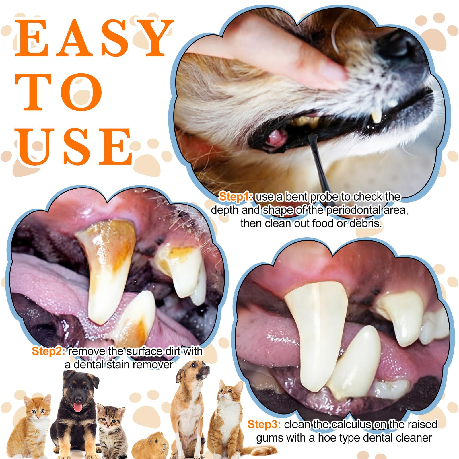 Ensemble outils detartrage dentaire Hotop 3 pièces pour chiens et chats